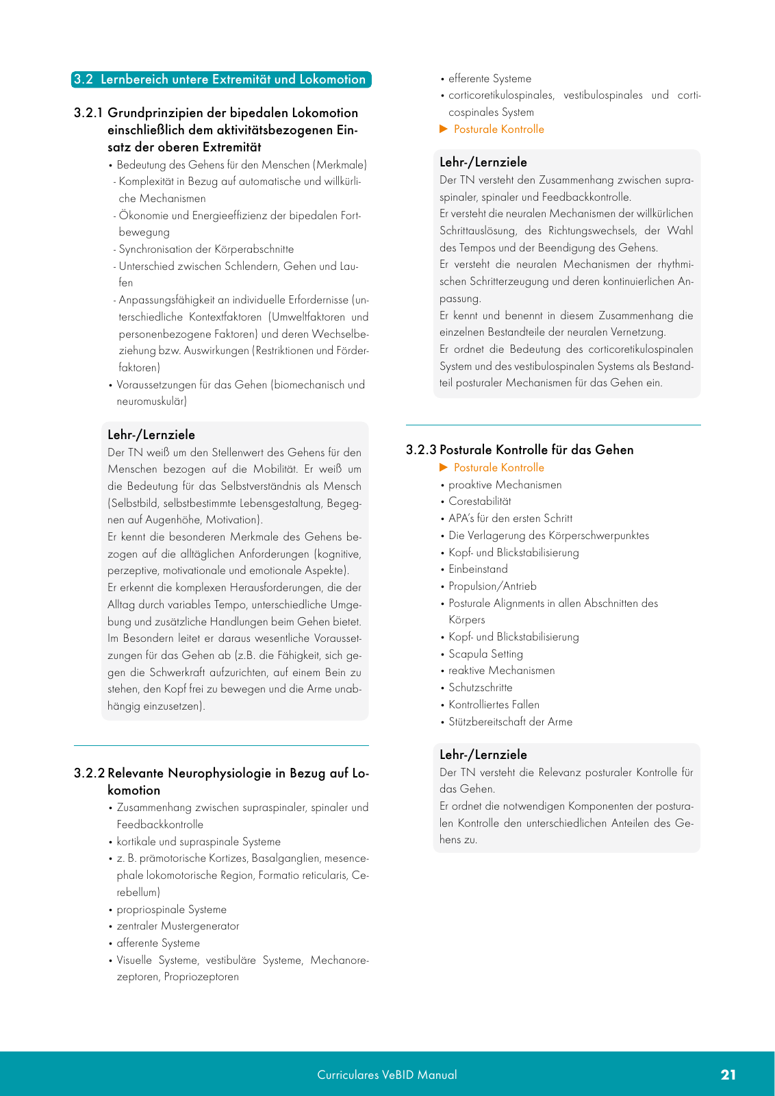 Vorschau VeBID Curriculum 2022 Seite 21